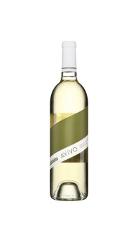 Rosé Cabernet 2023 – Colinele Sudului